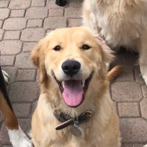 Meet your Posher, Beanna